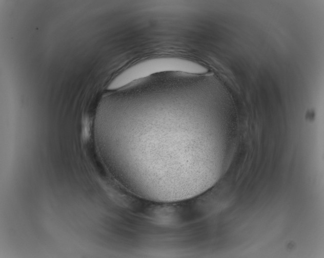 X0000091960075200709271355