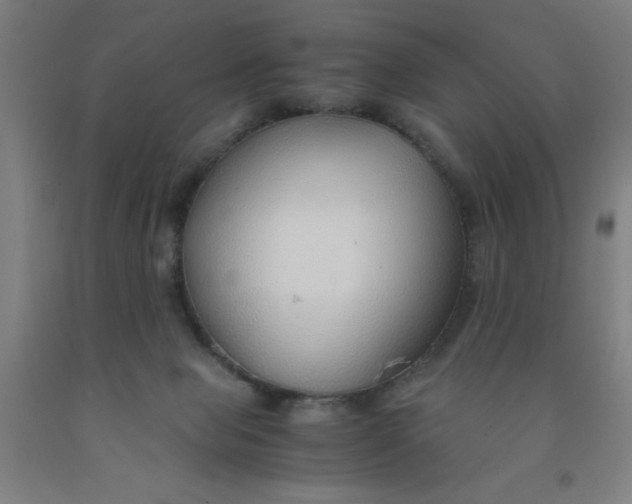 X0000091960077200709271355