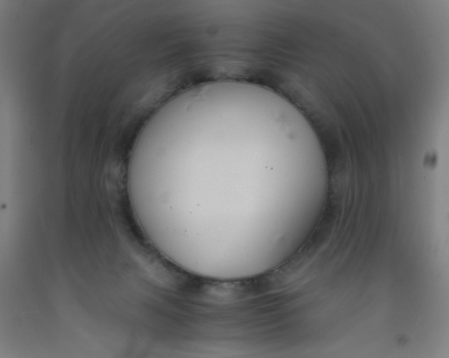 X0000091960079200709271355