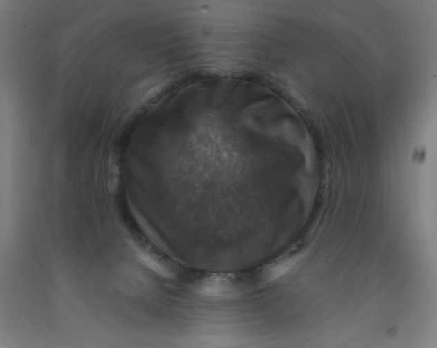 X0000091960080200709271355