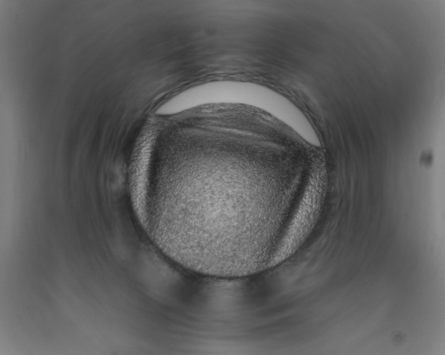 X0000091960081200709271355