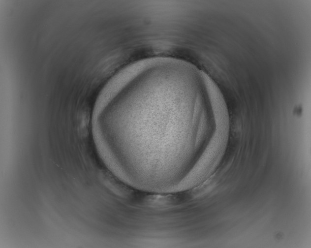 X0000091960082200709271355