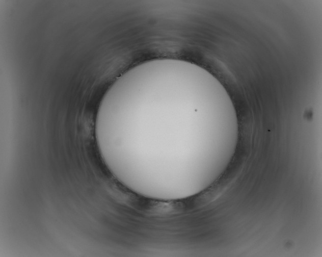 X0000091960083200709271355