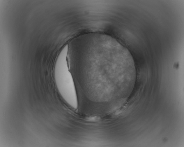 X0000091960084200709271355