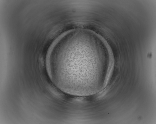 X0000091960086200709271355