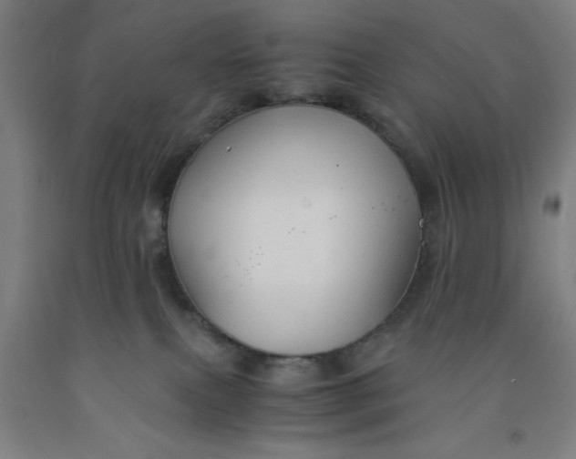 X0000091960087200709271355