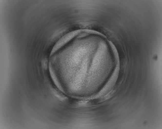 X0000091960090200709271355