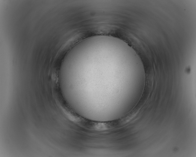 X0000091960091200709271355