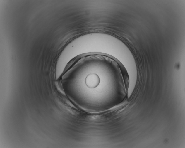 X0000091960092200709271355