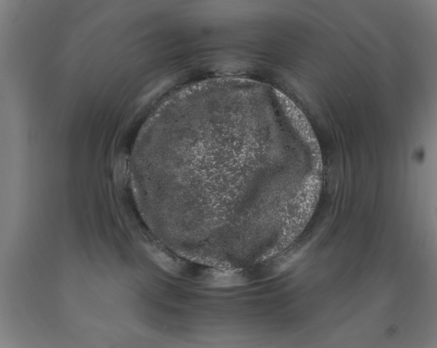 X0000091960093200709271355