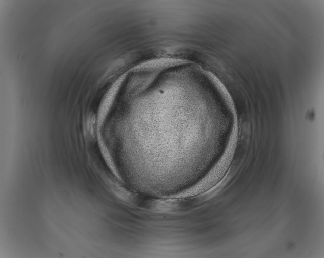 X0000091960094200709271355