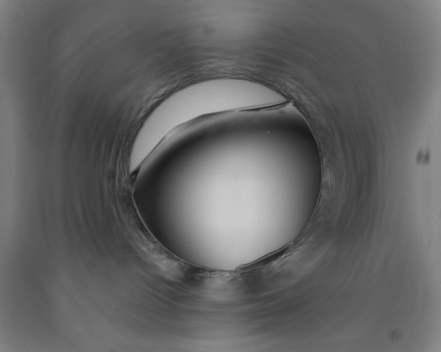 X0000091960096200709271355