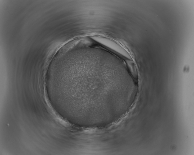 X0000091960097200709271355