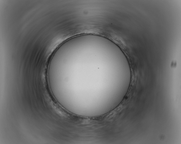 X0000091960098200709271355