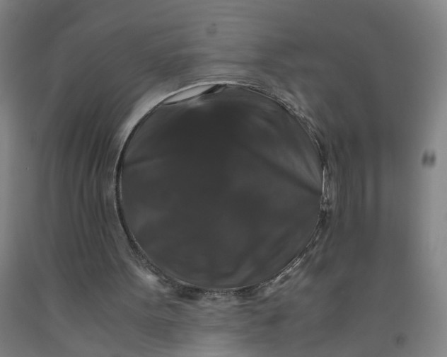 X0000091960099200709271355