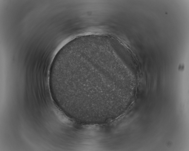 X0000091960100200709271355