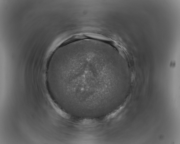 X0000091960101200709271355