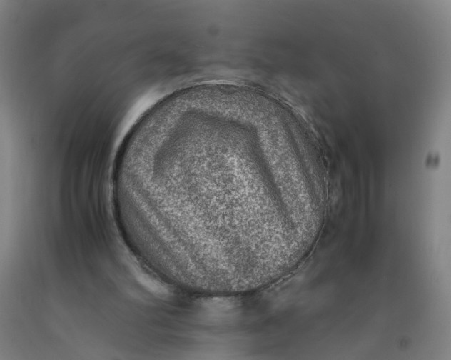 X0000091960102200709271355