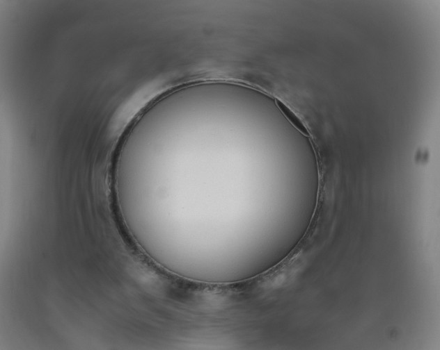 X0000091960103200709271355