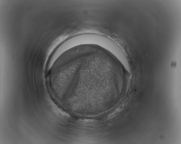 X0000091960104200709271355