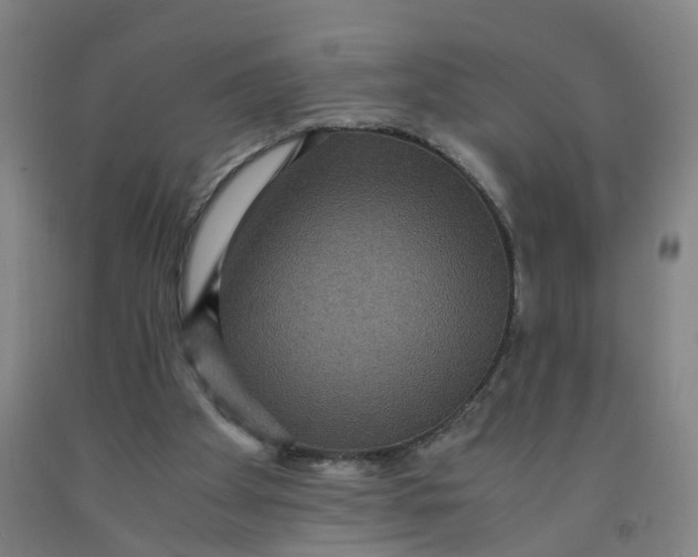 X0000091960105200709271355