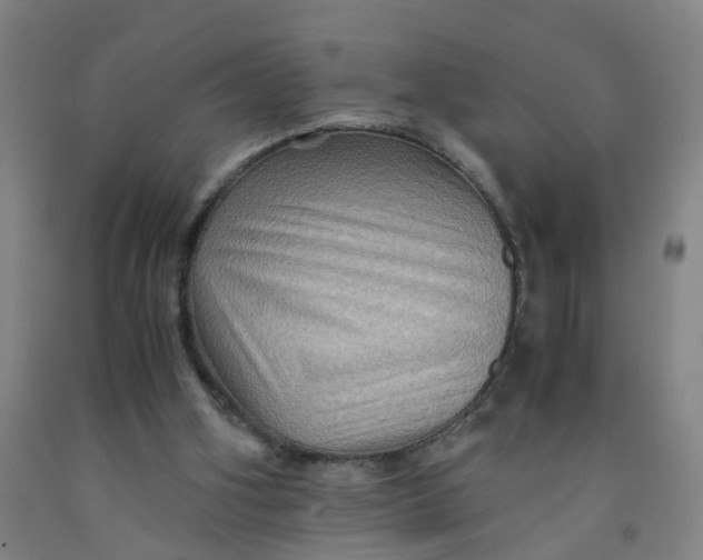 X0000091960106200709271355