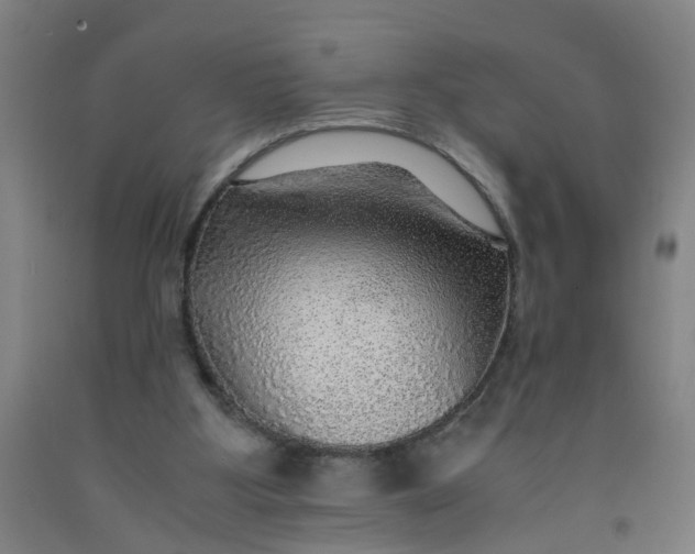 X0000091960107200709271355
