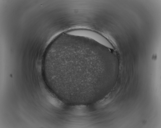 X0000091960108200709271355