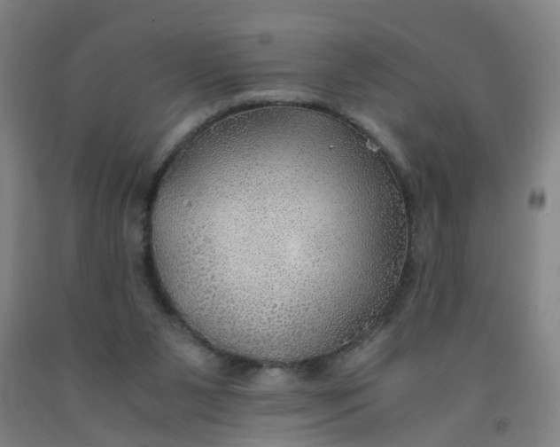 X0000091960111200709271355