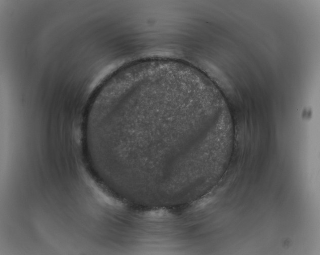 X0000091960112200709271355