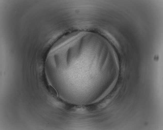 X0000091960113200709271355