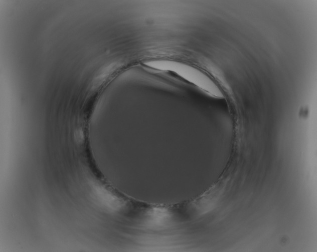 X0000091960114200709271355