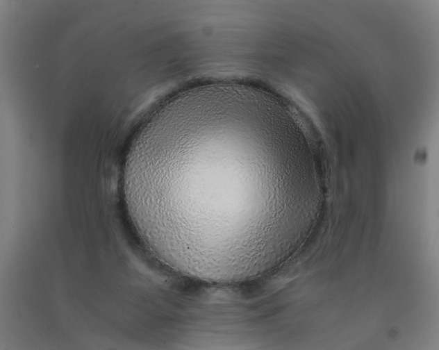 X0000091960115200709271355