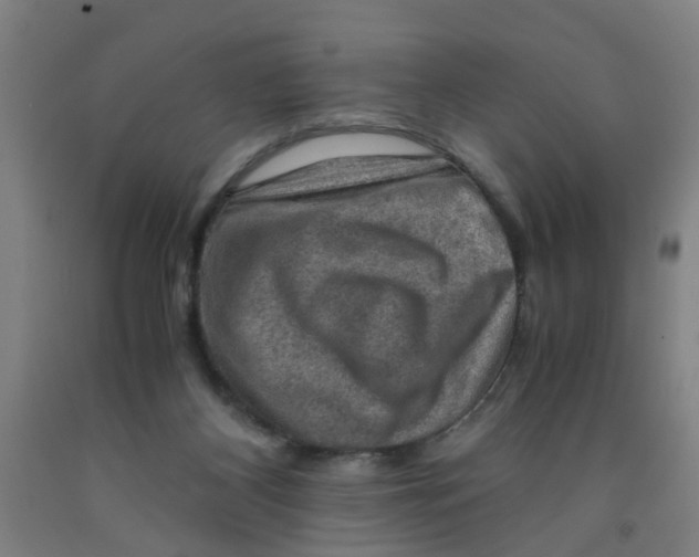 X0000091960116200709271354