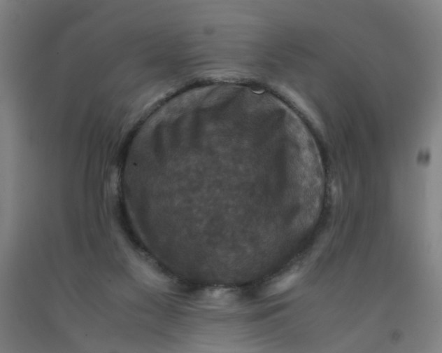 X0000091960117200709271354