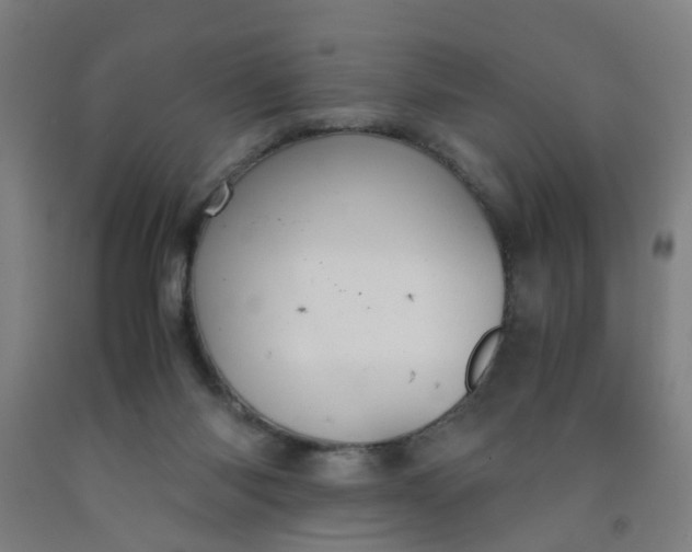 X0000091960118200709271354