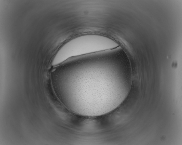 X0000091960119200709271354