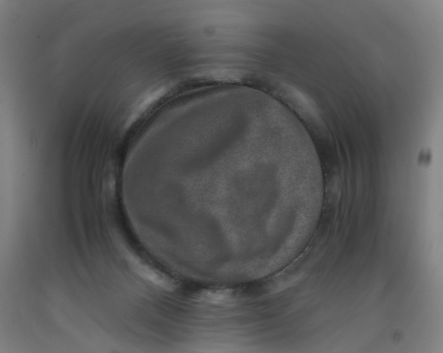 X0000091960120200709271354