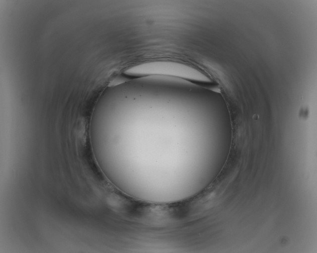 X0000091960121200709271354