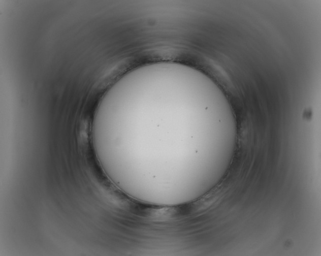 X0000091960122200709271354