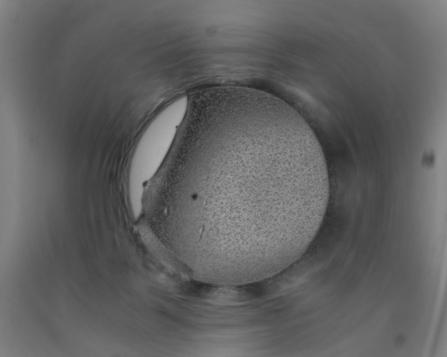 X0000091960123200709271354