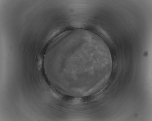 X0000091960124200709271354