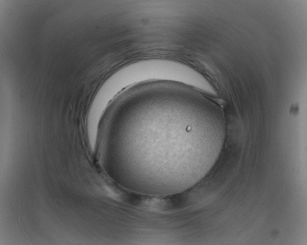 X0000091960125200709271354