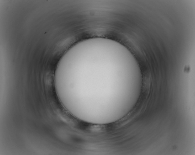 X0000091960126200709271354