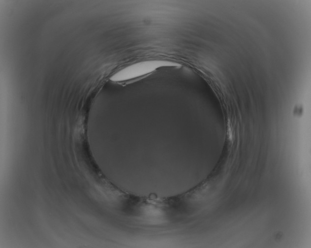 X0000091960127200709271354