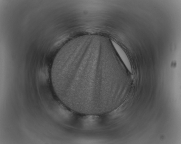 X0000091960128200709271354