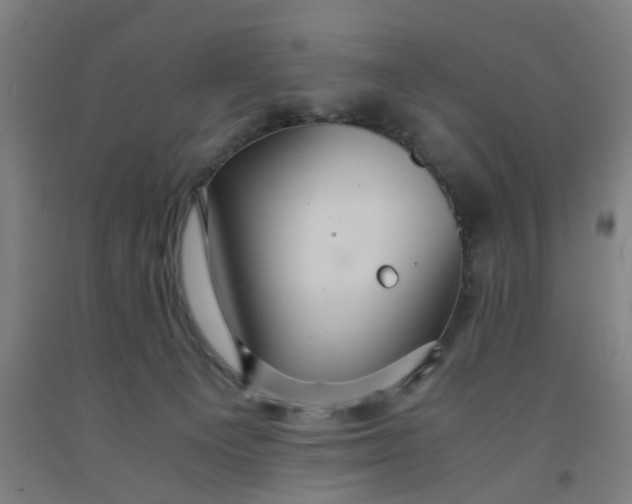 X0000091960129200709271354