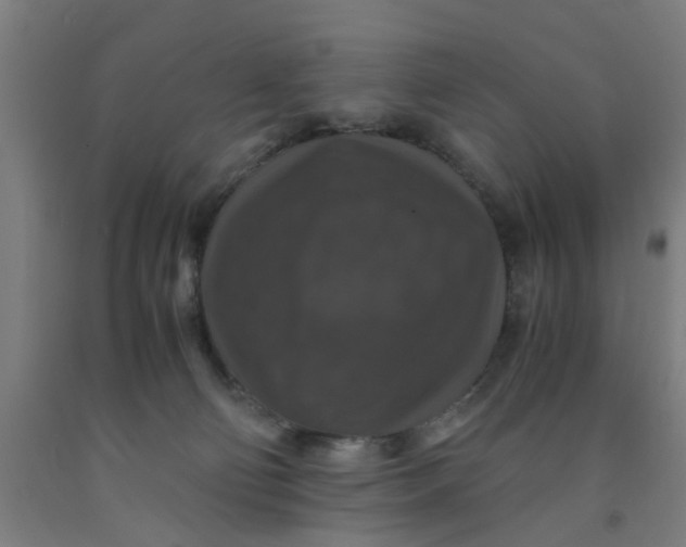 X0000091960130200709271354