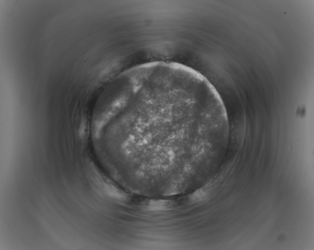 X0000091960134200709271354