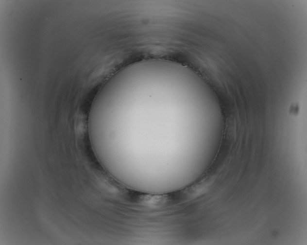 X0000091960135200709271354